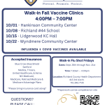 Hankinson Walk-in Flu Clinic
